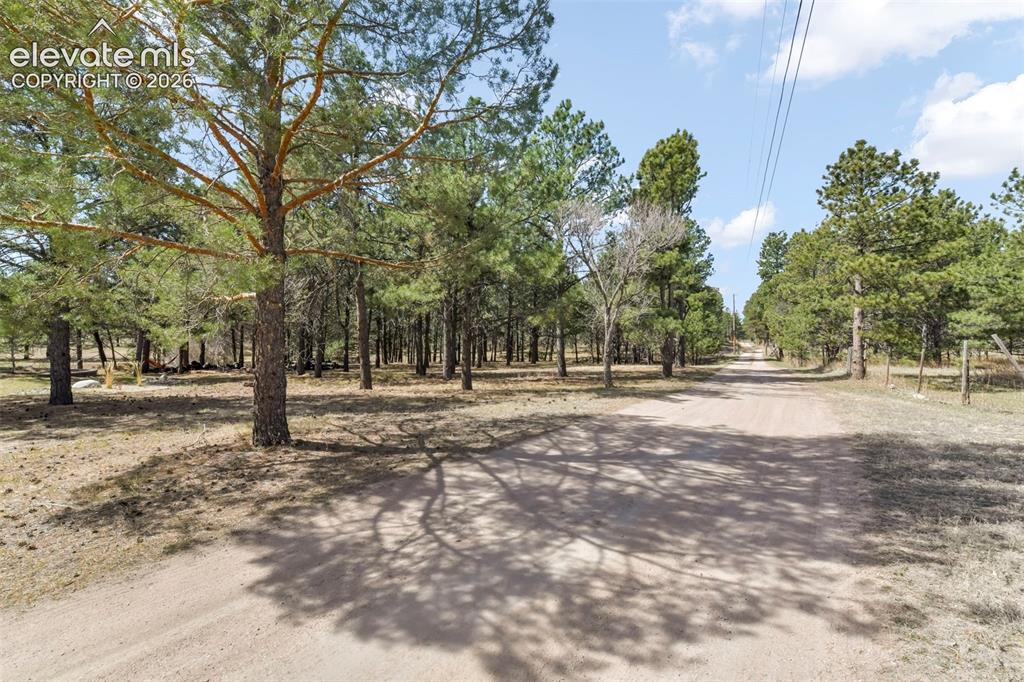 11165 Pine Meadows Road Colorado Springs CO 80908