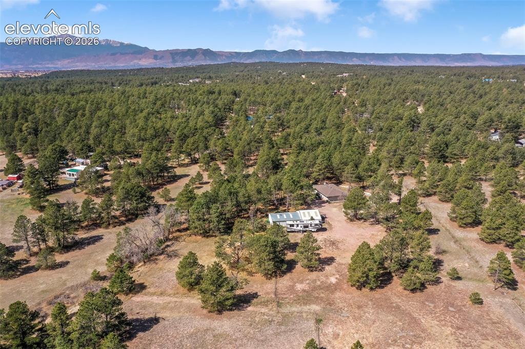 11165 Pine Meadows Road Colorado Springs CO 80908