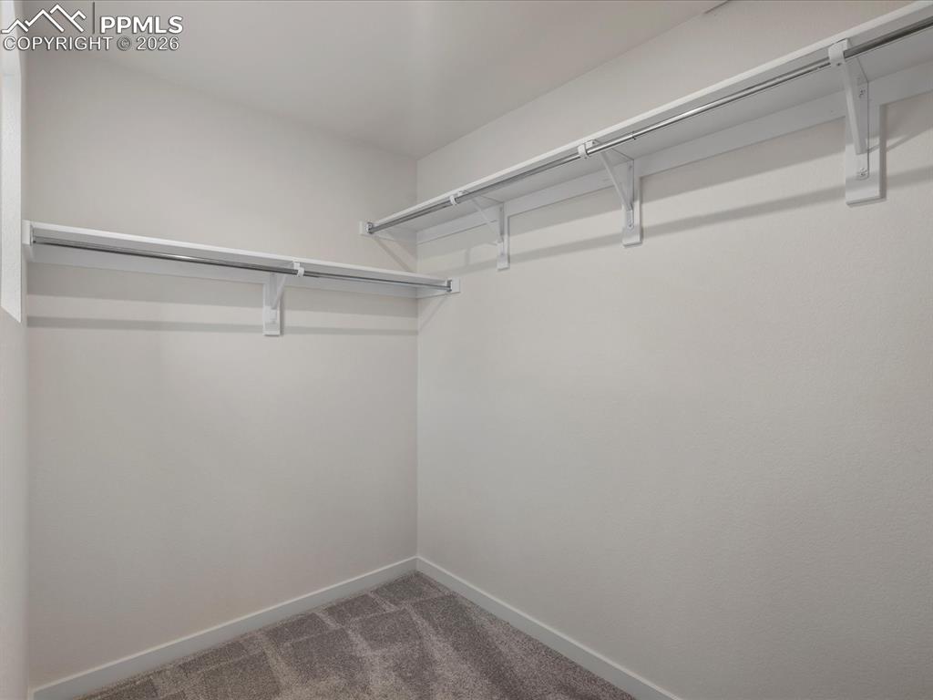 10756 Lewanee Point Colorado Springs CO 80908