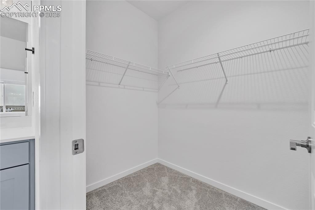 8172 Manor House Way Colorado Springs CO 80908