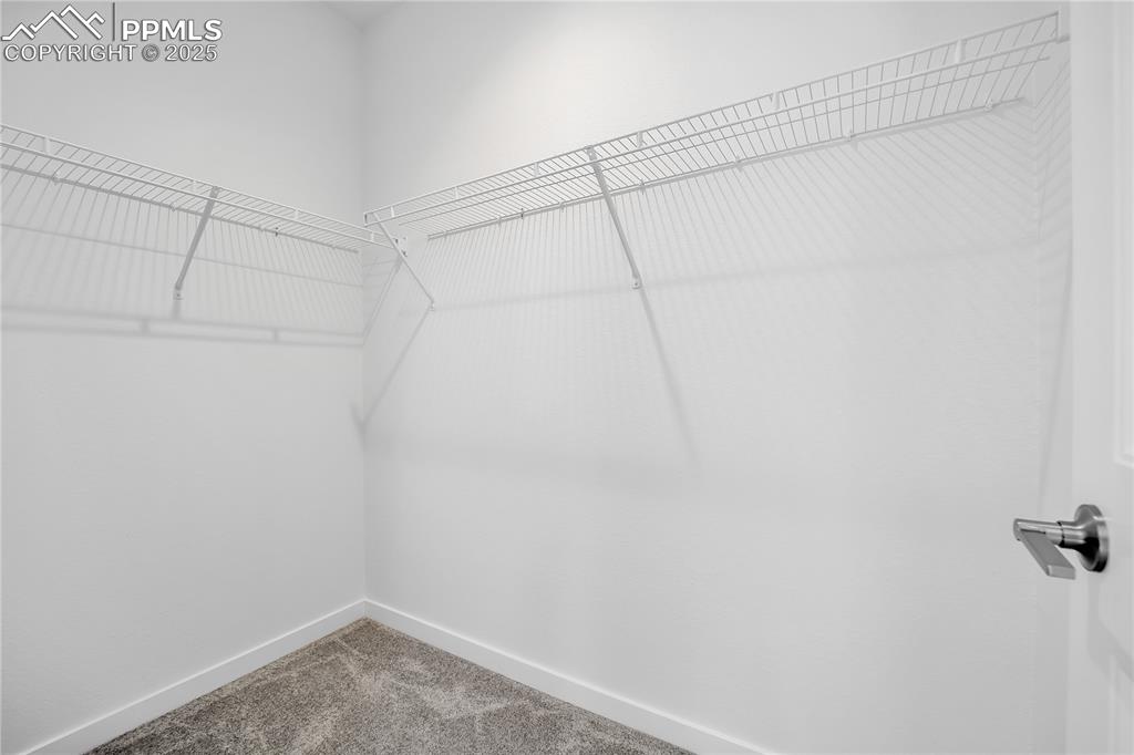 8172 Manor House Way Colorado Springs CO 80908