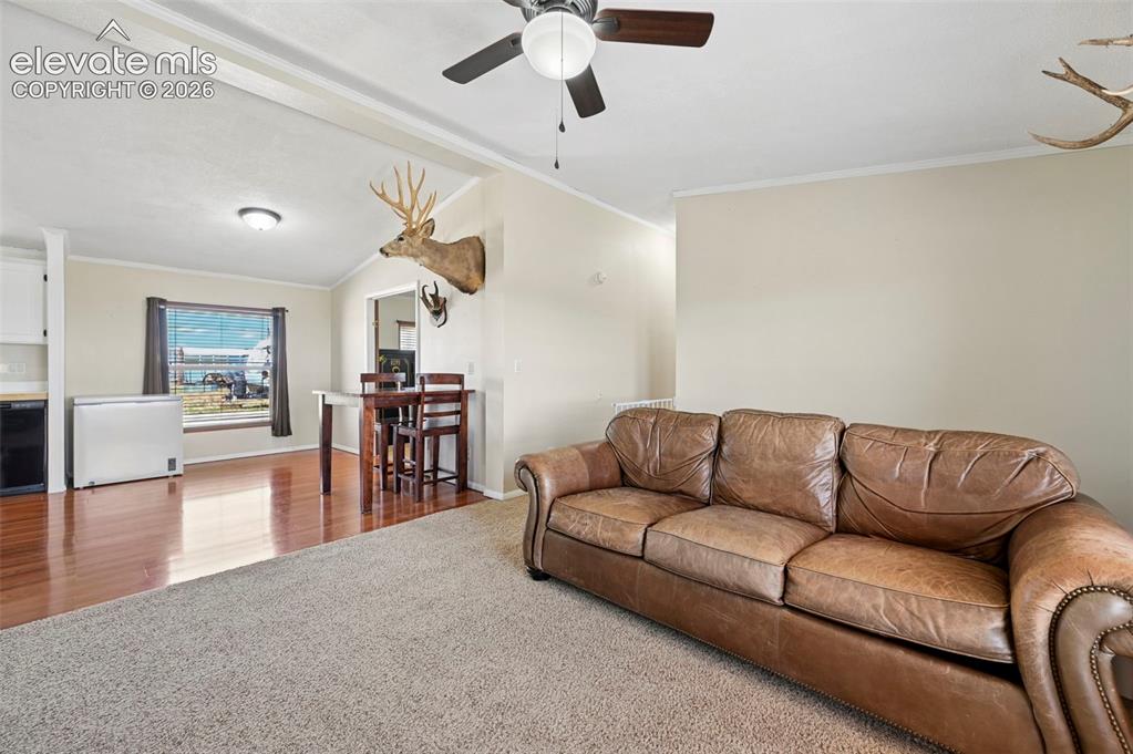 3320 Hoofbeat Road Peyton CO 80831