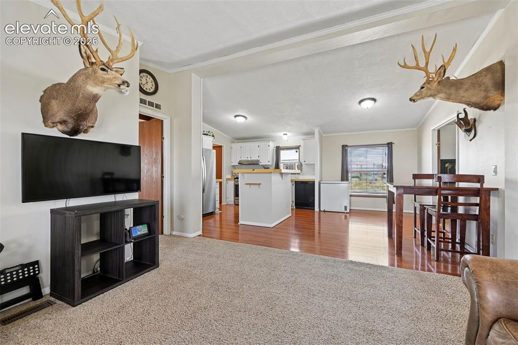 3320 Hoofbeat Road Peyton CO 80831