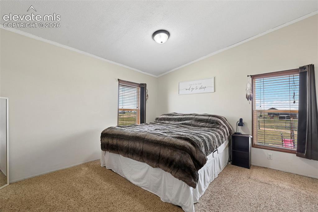 3320 Hoofbeat Road Peyton CO 80831