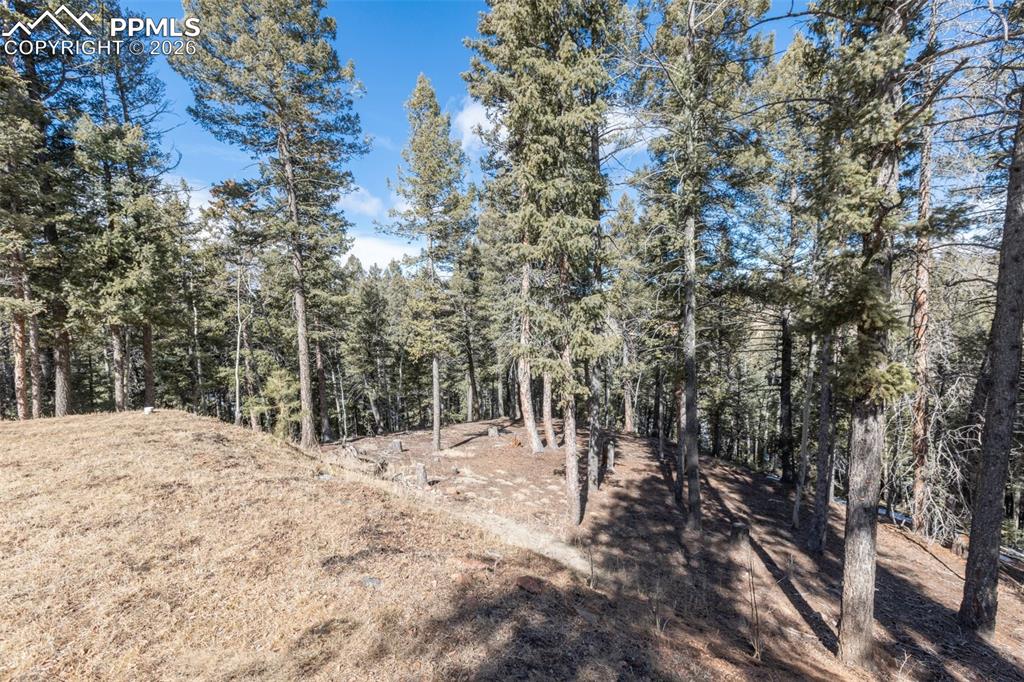 935 Bennett Drive Cripple Creek CO 80813