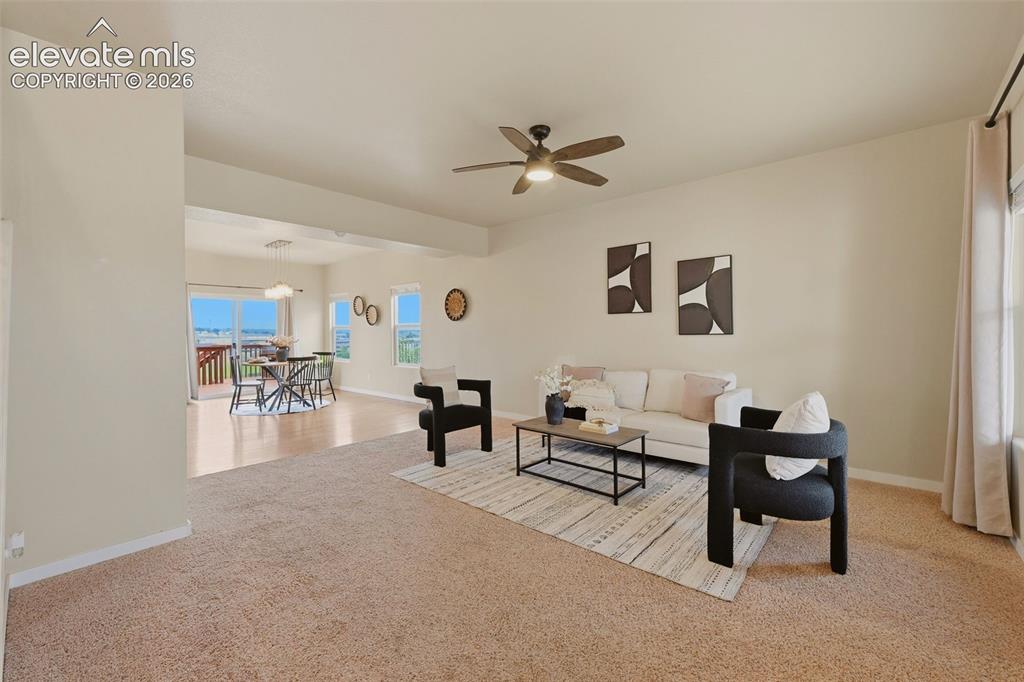 6266 Finglas Drive Colorado Springs CO 80923