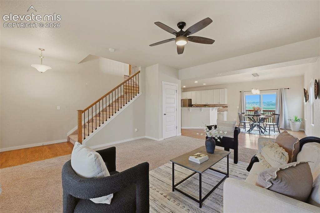6266 Finglas Drive Colorado Springs CO 80923