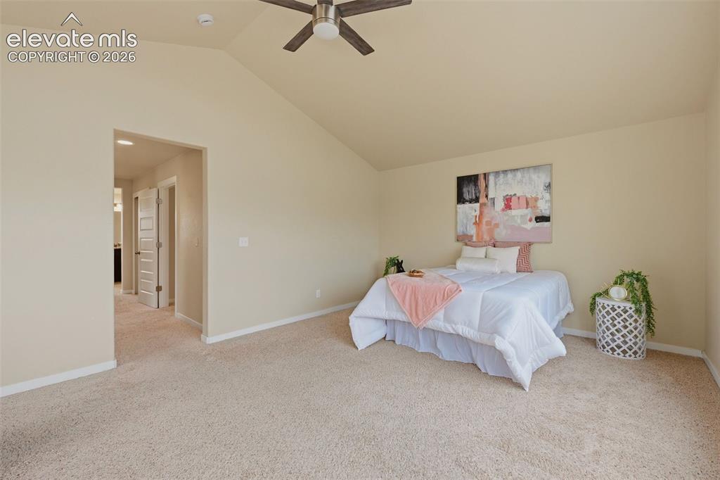 6266 Finglas Drive Colorado Springs CO 80923