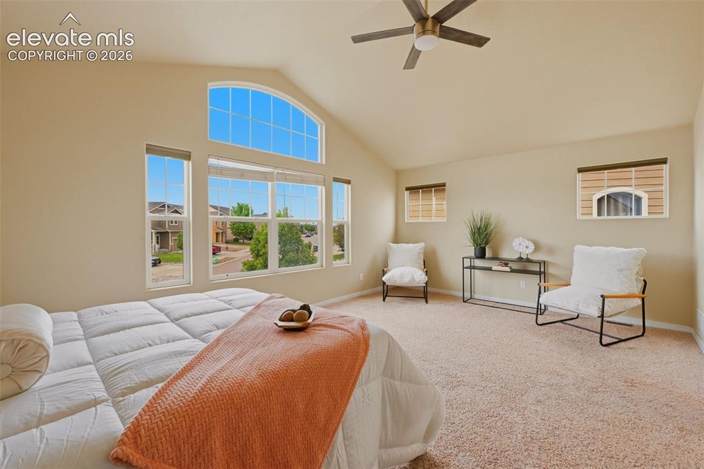 6266 Finglas Drive Colorado Springs CO 80923