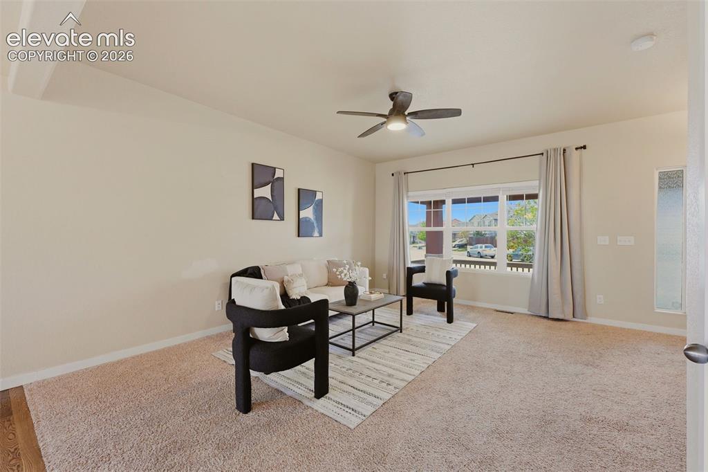 6266 Finglas Drive Colorado Springs CO 80923