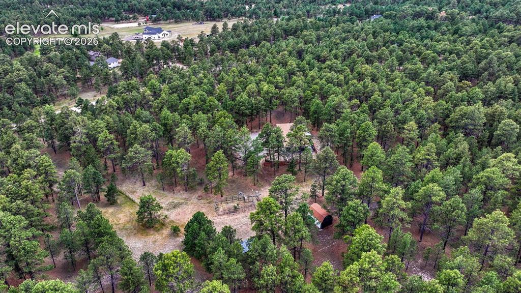 9950 Pine Park Trail Colorado Springs CO 80908