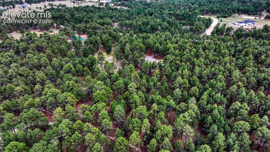9950 Pine Park Trail Colorado Springs CO 80908