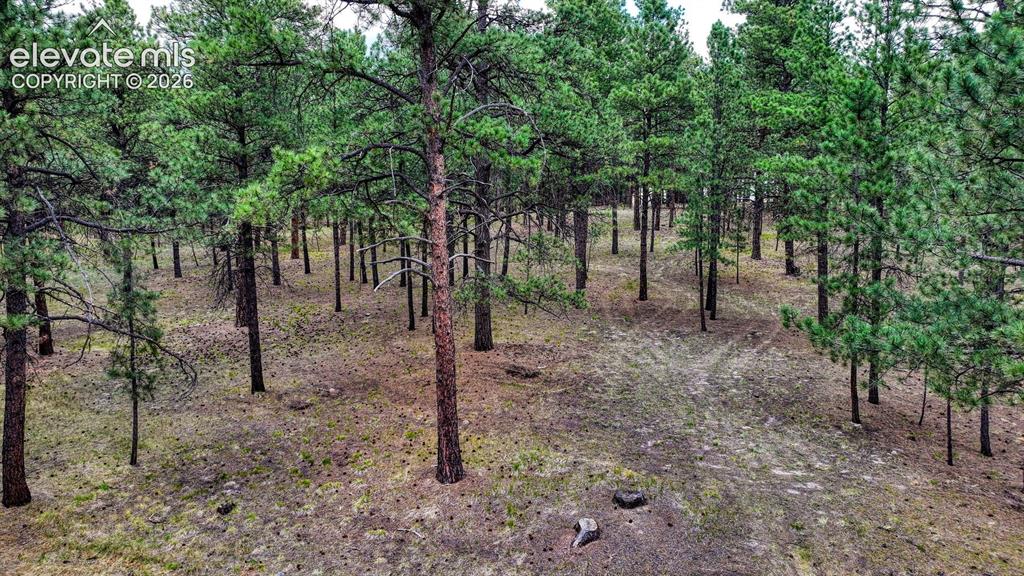 9950 Pine Park Trail Colorado Springs CO 80908