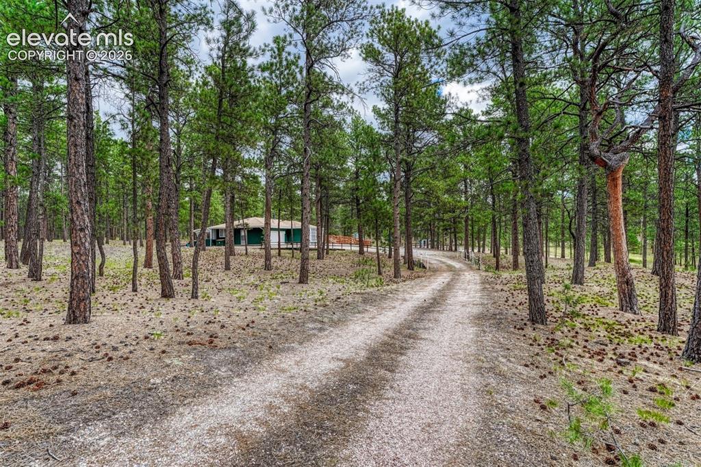 9950 Pine Park Trail Colorado Springs CO 80908