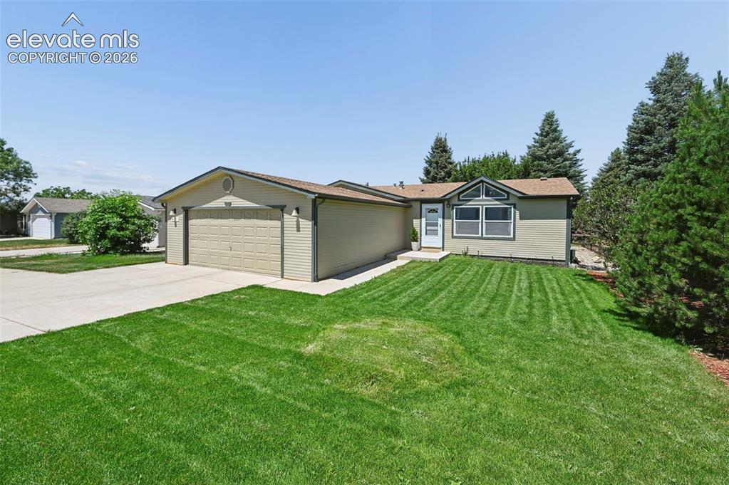7659 Marmot Point Colorado Springs CO 80922