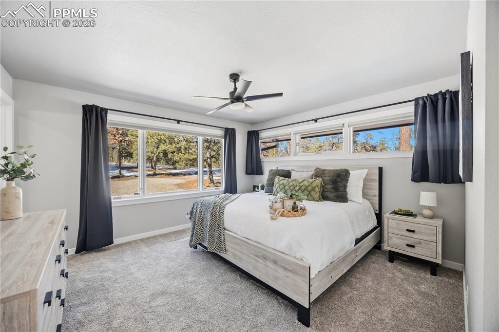 9535 Hardin Road Colorado Springs CO 80908