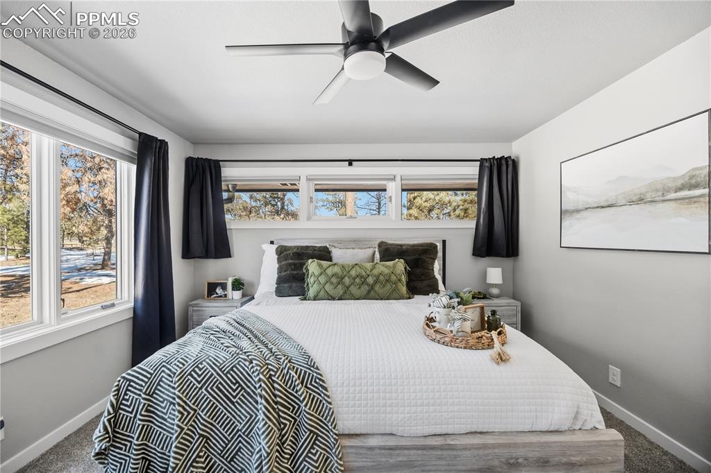 9535 Hardin Road Colorado Springs CO 80908