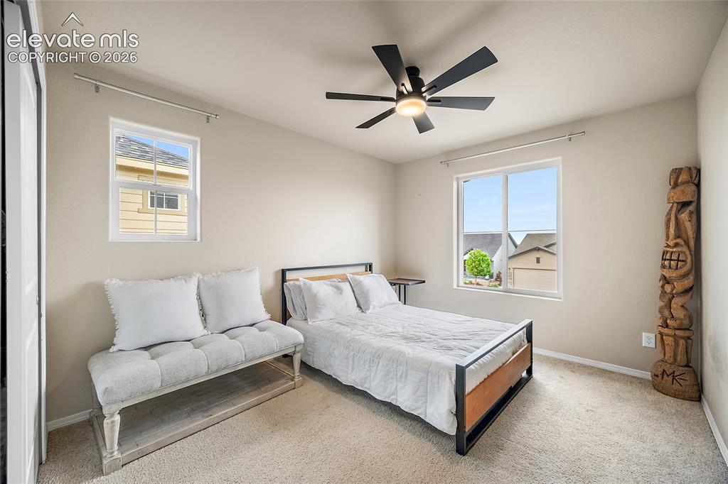 7058 Fauna Glen Drive Colorado Springs CO 80927
