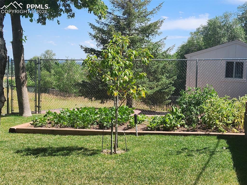 437 Westmark Avenue Colorado Springs CO 80906