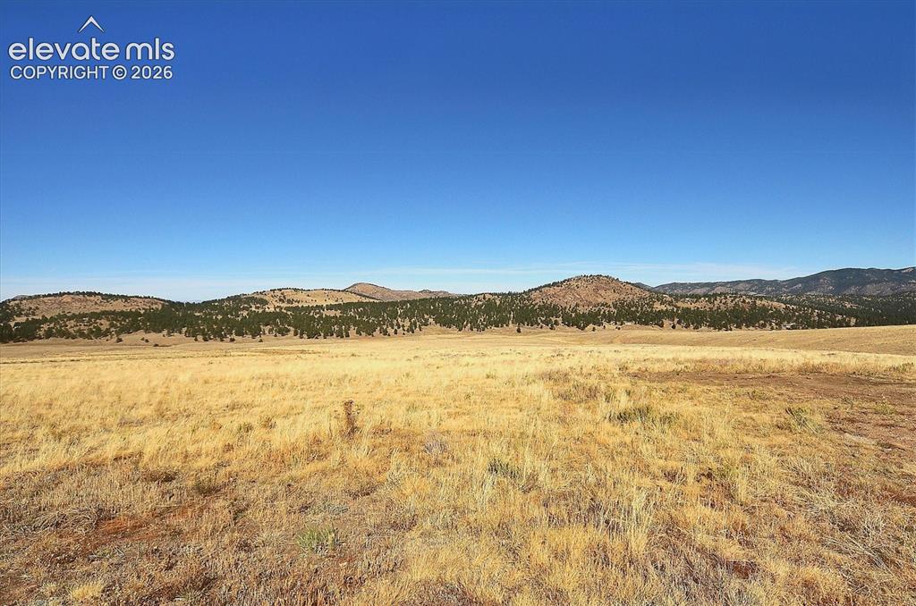 1115 Eagles Gate Road Westcliffe CO 81252