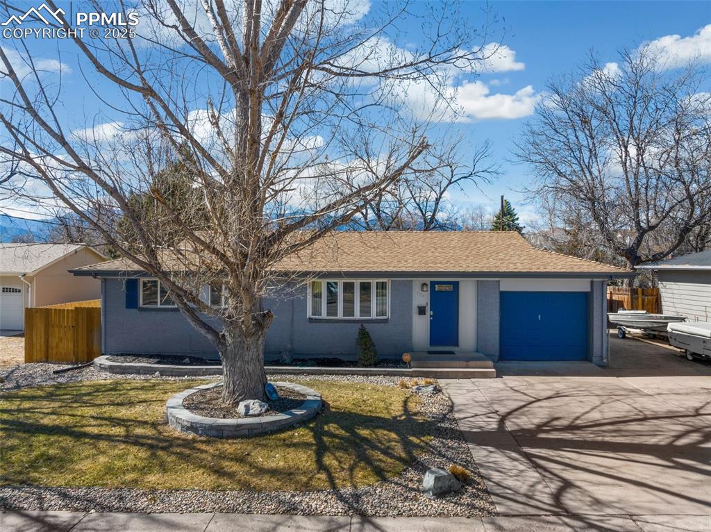 226 Bassett Drive Colorado Springs CO 80910