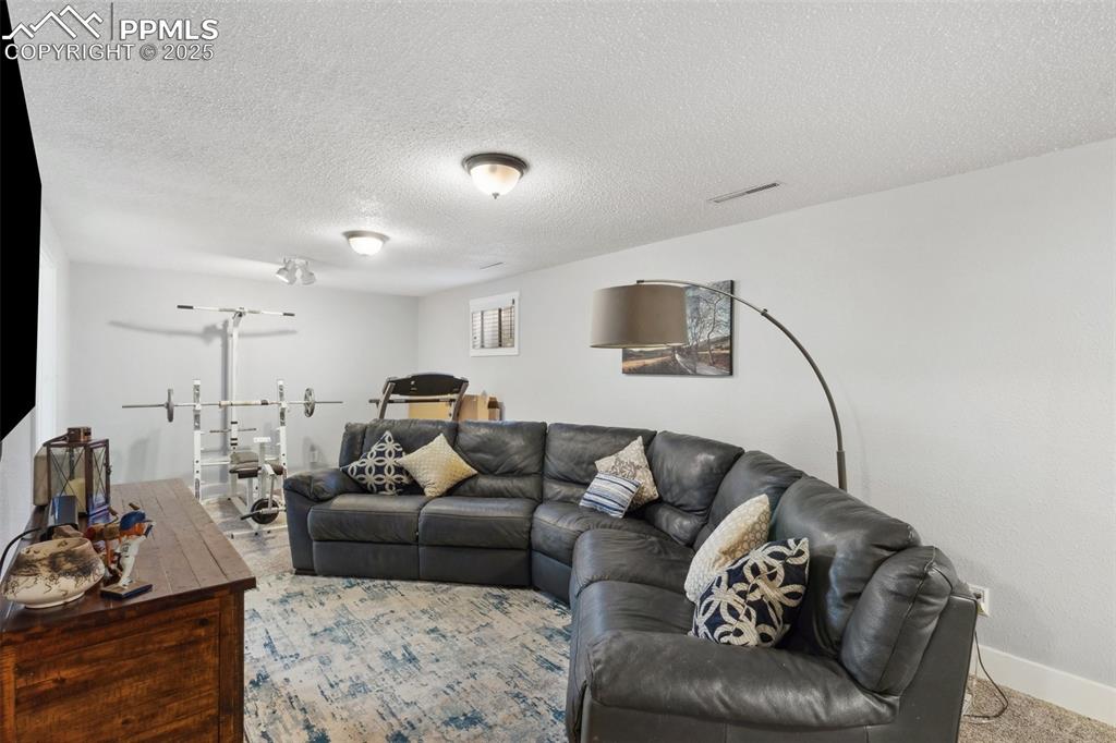 226 Bassett Drive Colorado Springs CO 80910