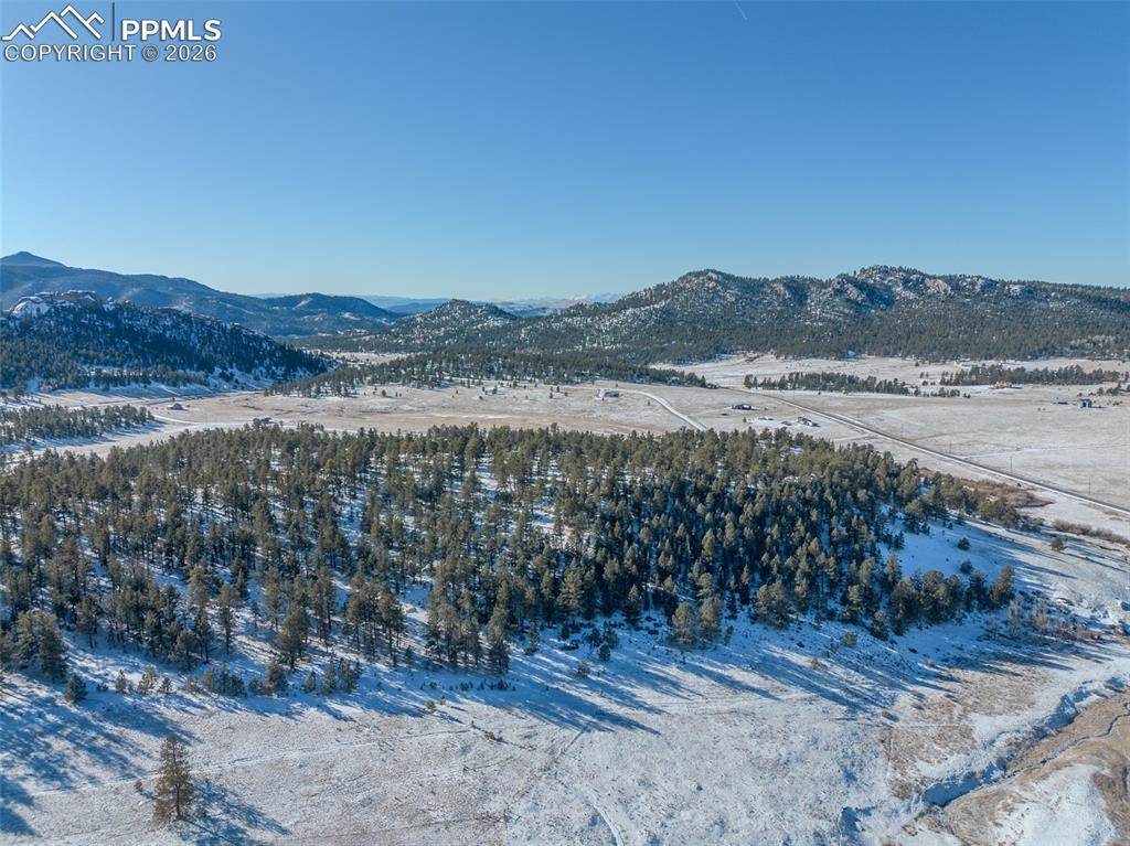 595 High Pasture Road Florissant CO 80816