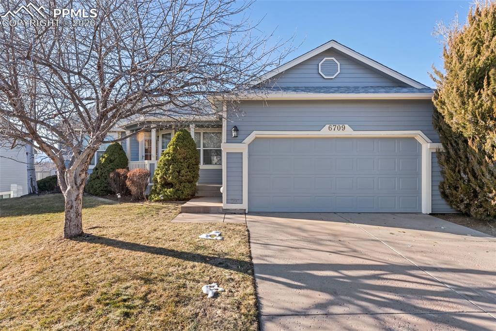 6709 Showhorse Court Colorado Springs CO 80922