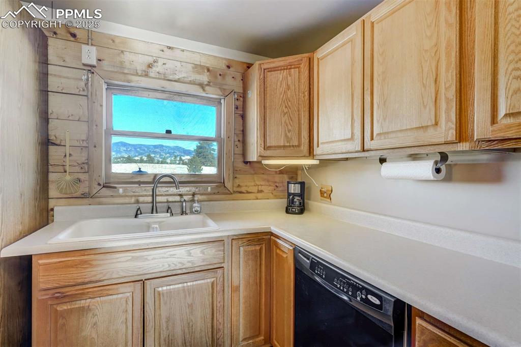 994 Deer Lane Guffey CO 80820
