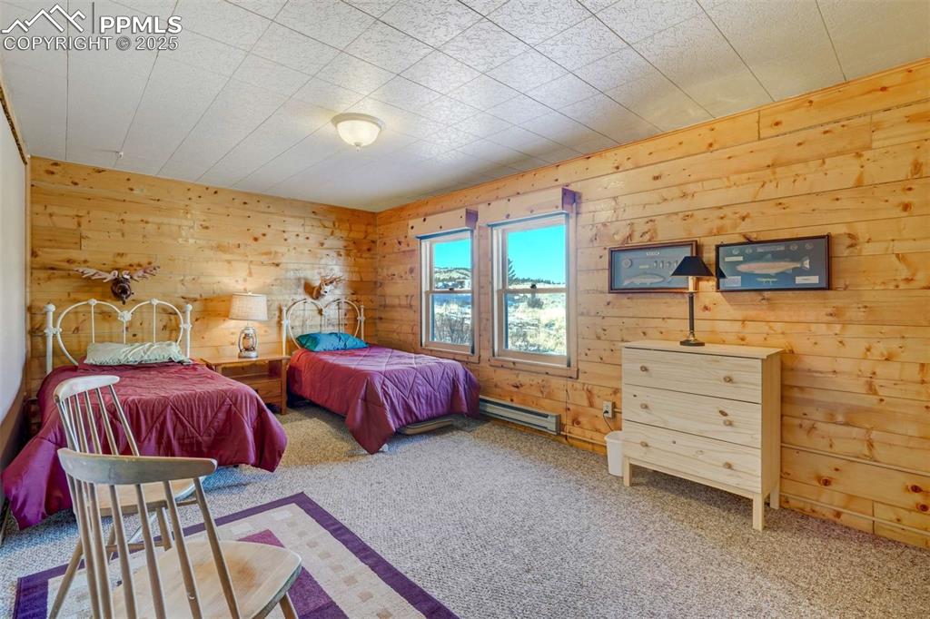 994 Deer Lane Guffey CO 80820