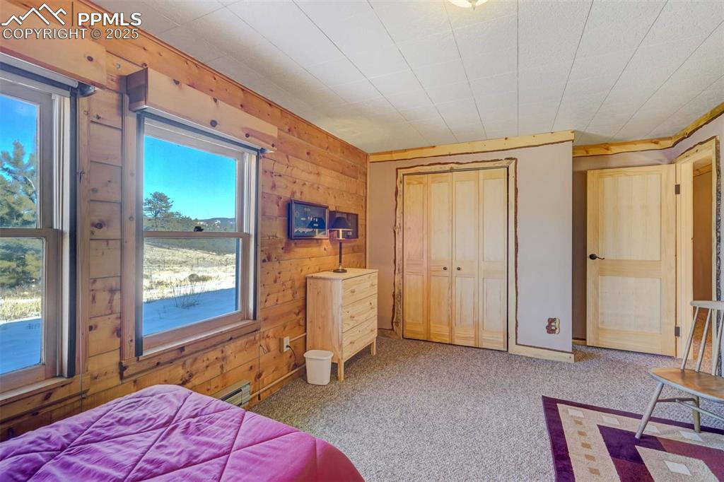 994 Deer Lane Guffey CO 80820