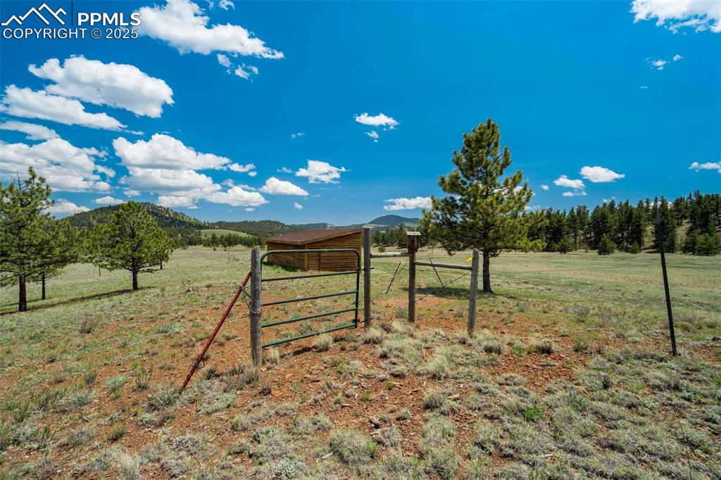994 Deer Lane Guffey CO 80820