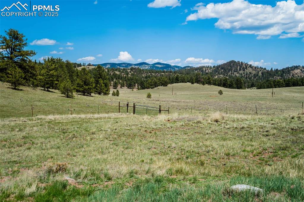 994 Deer Lane Guffey CO 80820