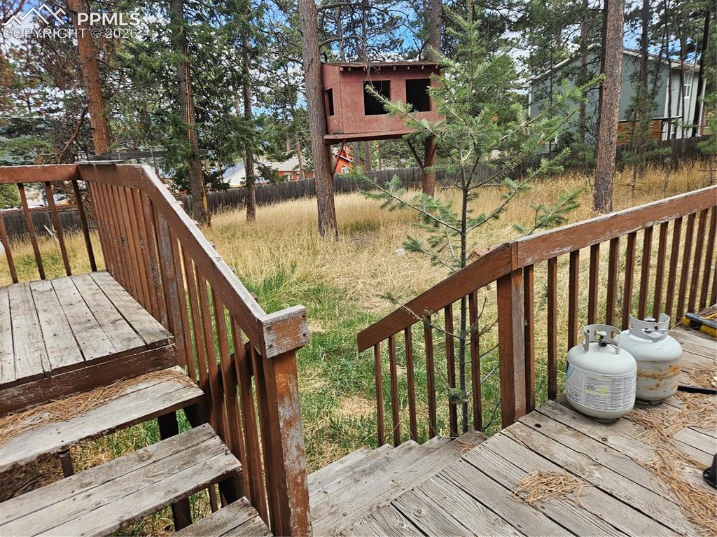 1005 W Lorraine Avenue Woodland Park CO 80863
