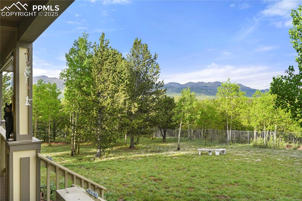 9865 S Highway 67 Cripple Creek CO 80814