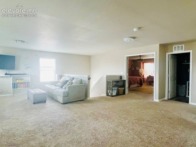 7219 Silver Moon Drive Colorado Springs CO 80923