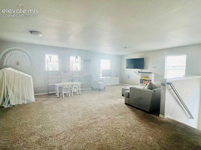 7219 Silver Moon Drive Colorado Springs CO 80923