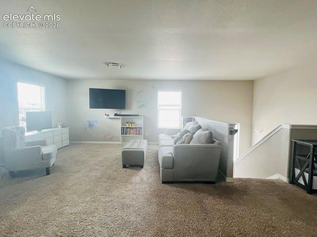7219 Silver Moon Drive Colorado Springs CO 80923