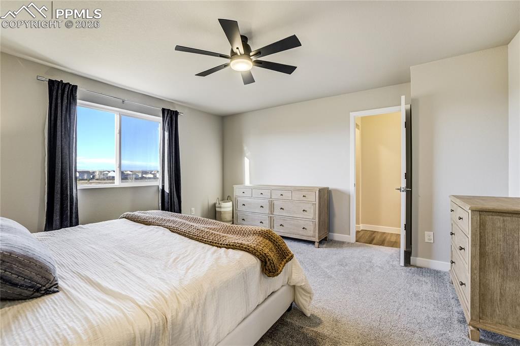 10238 Luneth Drive Colorado Springs CO 80925