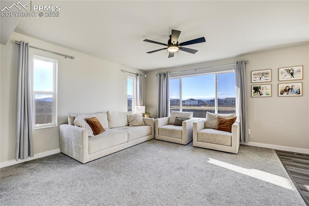 10238 Luneth Drive Colorado Springs CO 80925