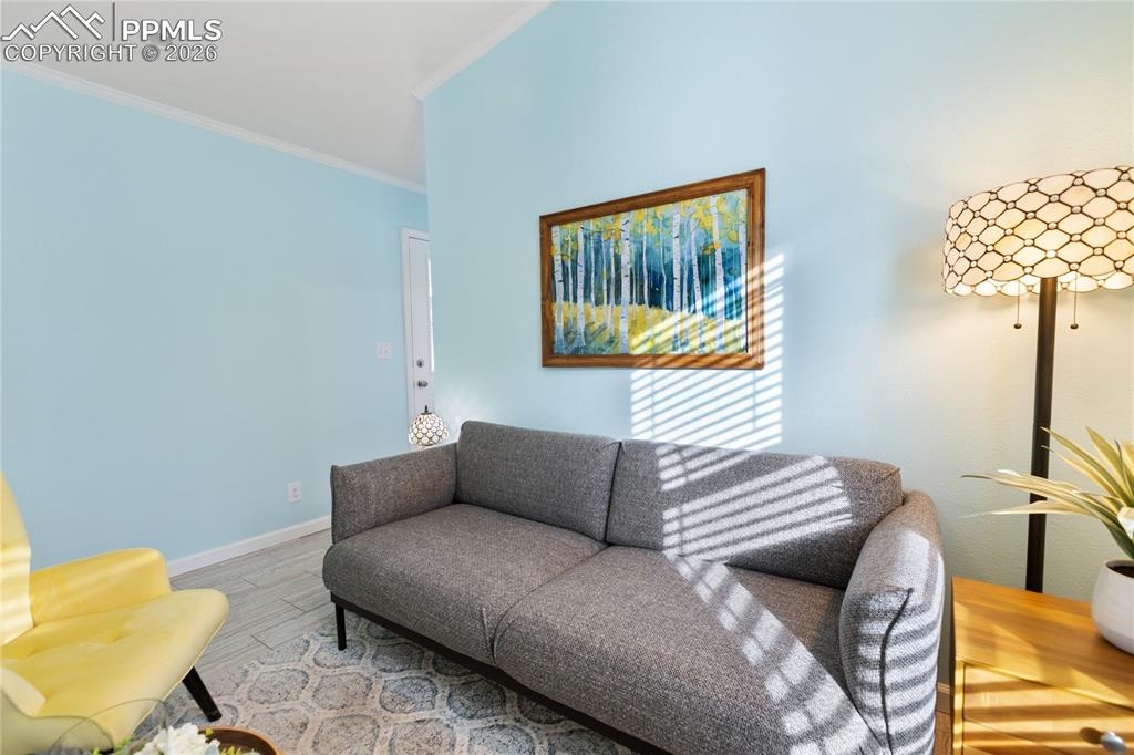 1431 Calm Mountain Point Woodland Park CO 80863