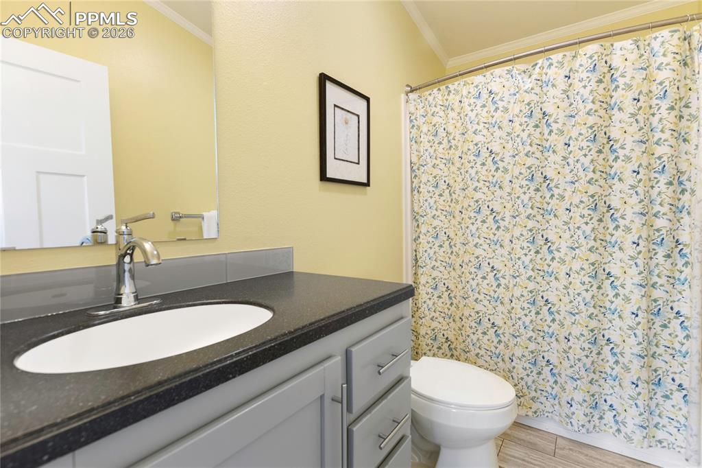 1431 Calm Mountain Point Woodland Park CO 80863