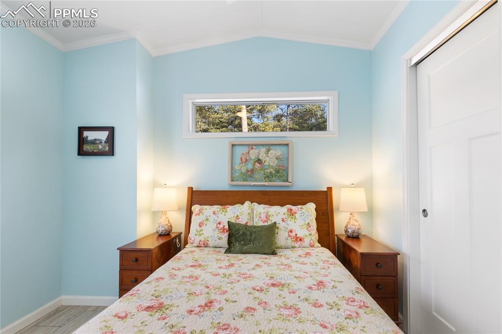 1431 Calm Mountain Point Woodland Park CO 80863