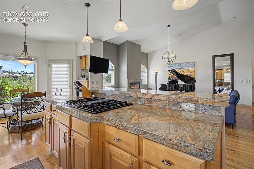 2323 Spanish Oak Terrace Colorado Springs CO 80920
