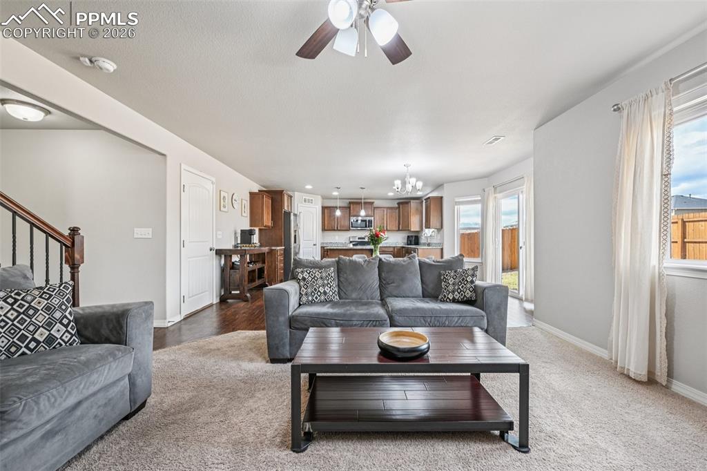 6796 Spruce Hill Court Colorado Springs CO 80923