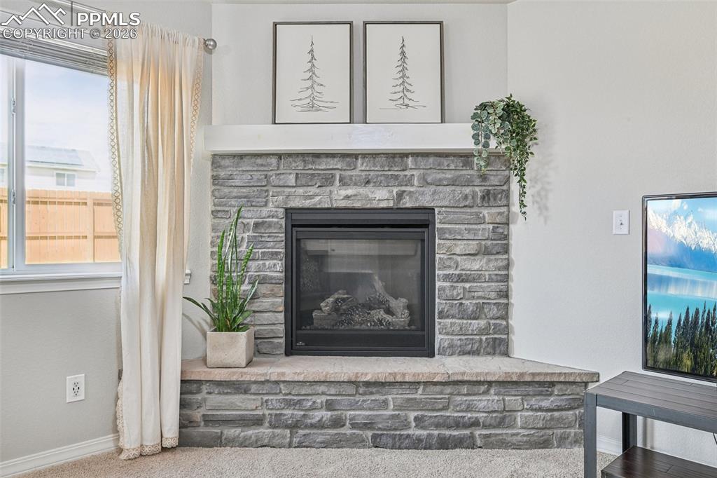 6796 Spruce Hill Court Colorado Springs CO 80923