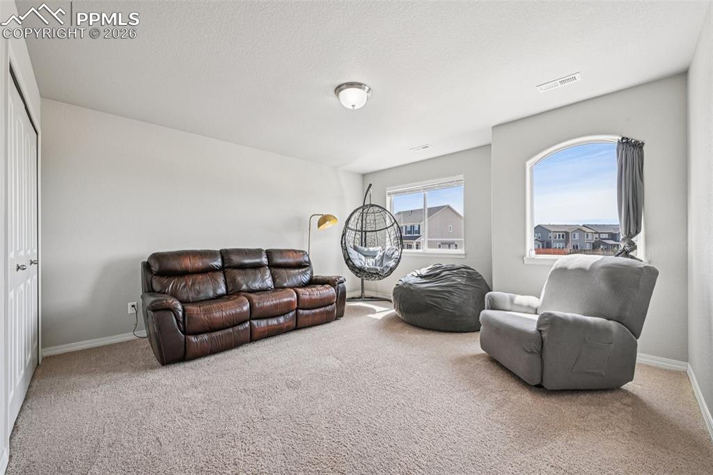 6796 Spruce Hill Court Colorado Springs CO 80923