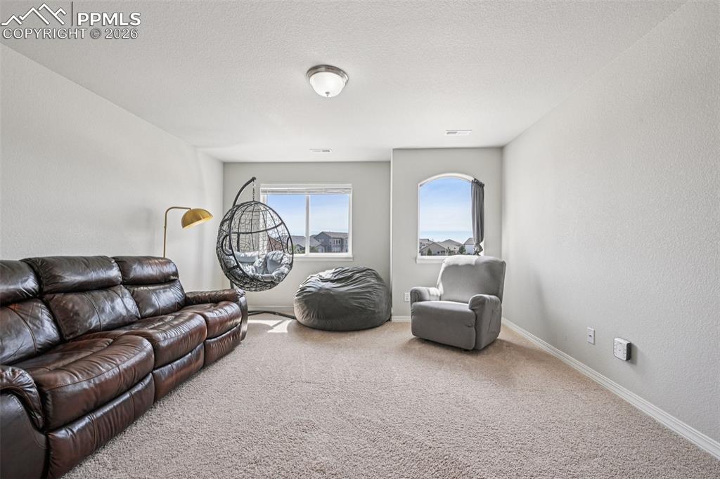 6796 Spruce Hill Court Colorado Springs CO 80923