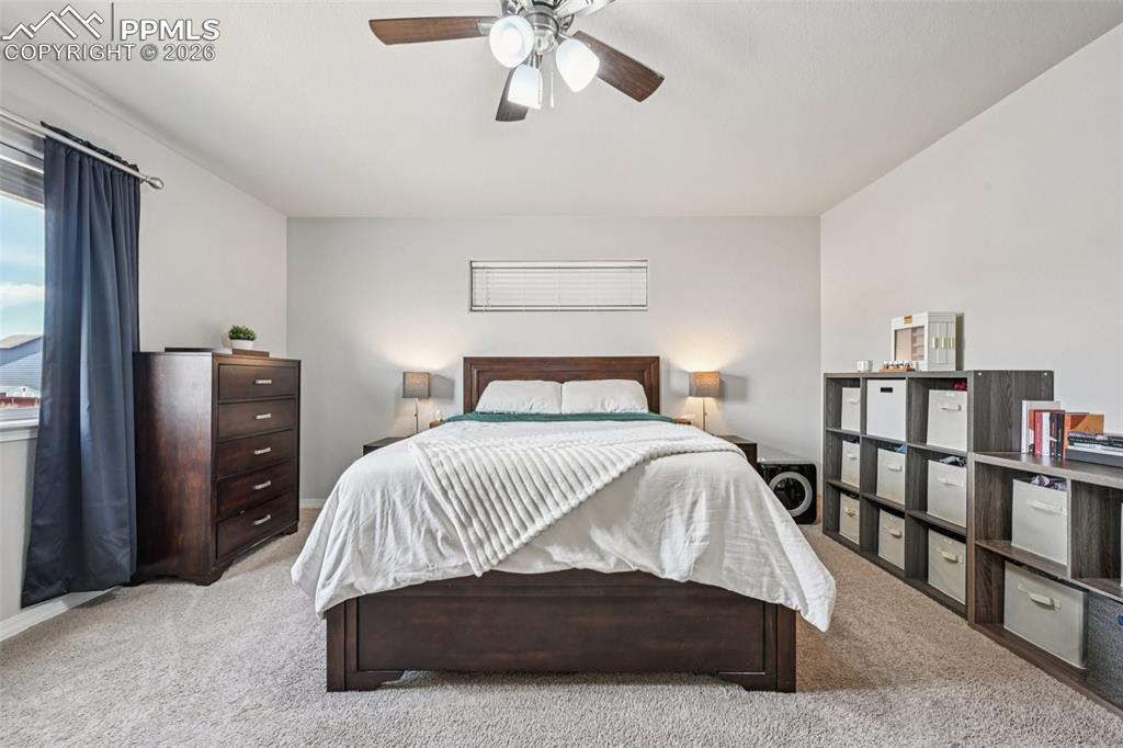 6796 Spruce Hill Court Colorado Springs CO 80923