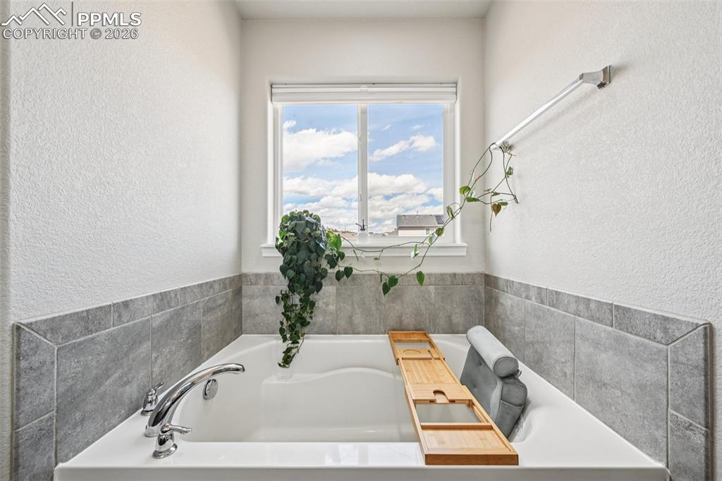 6796 Spruce Hill Court Colorado Springs CO 80923